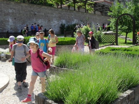 visegrádi osztálykirándulás 2015 jún-5 022