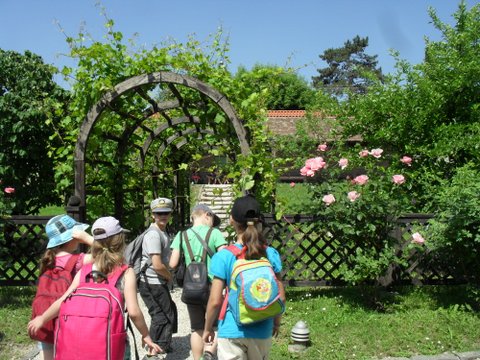 visegrádi osztálykirándulás 2015 jún-5 023