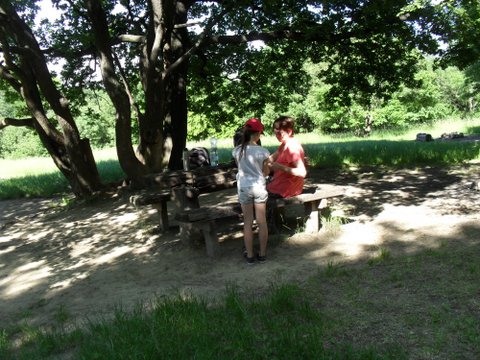 visegrádi osztálykirándulás 2015 jún-5 047